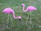 Fun Express Mini Pink Flamingo Lawn Ornaments (2 Pieces, 8" with 12" Stakes) Lawn Decor, Unique and Quirky Home Decor & Gifts, Party Decorations